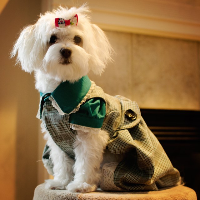 Sweetheart by Janna © 2011