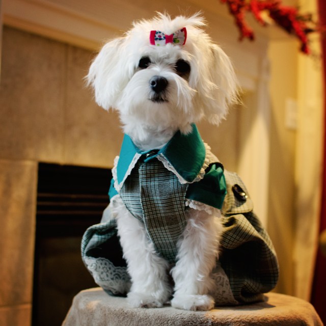 Sweetheart by Janna © 2011