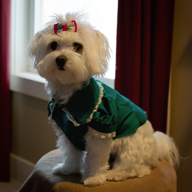 Sweetheart by Janna © 2011