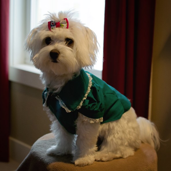 Sweetheart by Janna © 2011