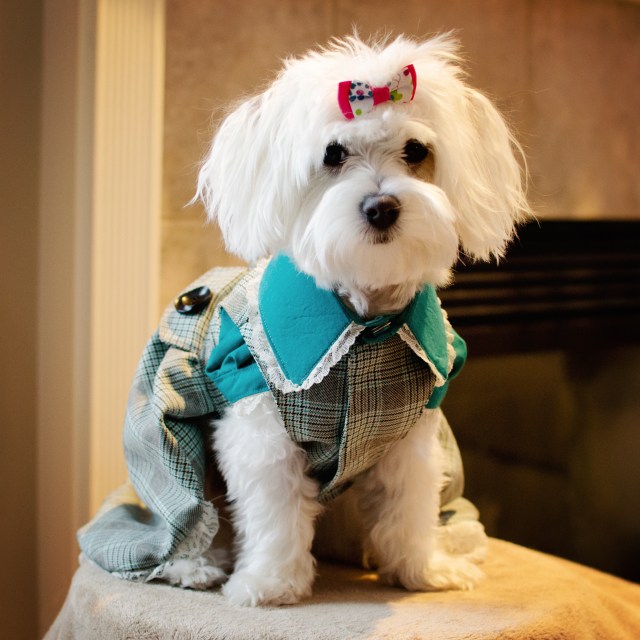 Sweetheart by Janna © 2011